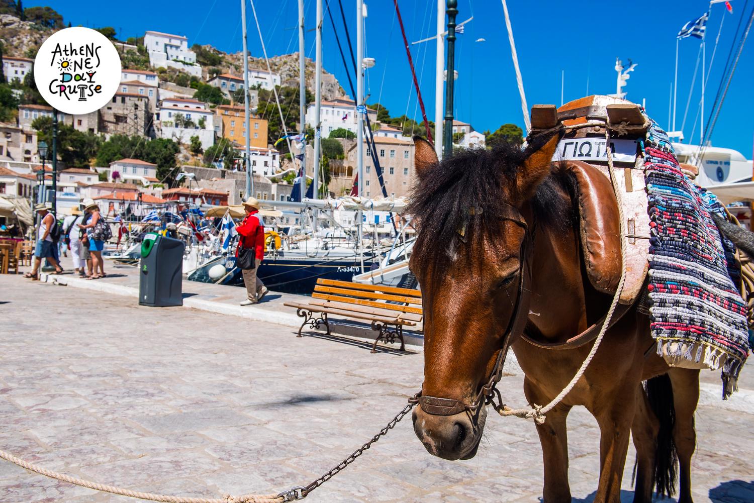 Hydra - A Saronic island full of history and secrets - Hydraiki One Day Cruise